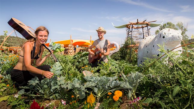 Gardens at Boom Festival